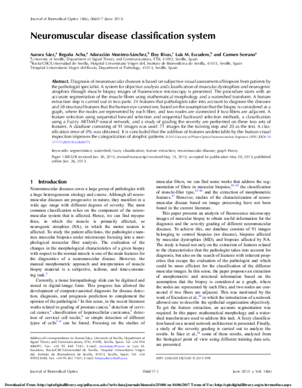(PDF) Neuromuscular disease classification system Aurora Sáez Manzano