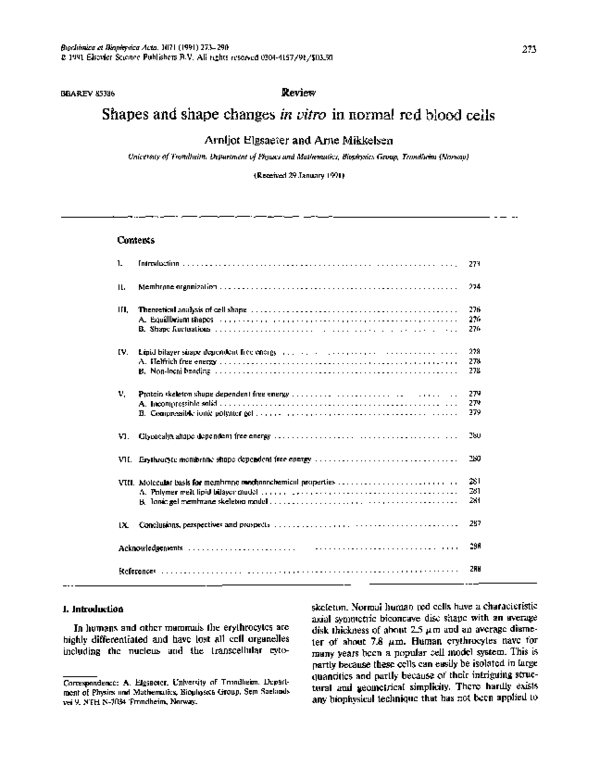 (PDF) Shapes and shape changes in vitro in normal red blood cells