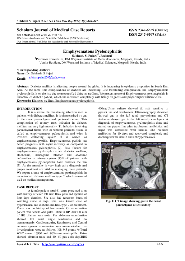 (PDF) Emphysematous Pyelonephritis