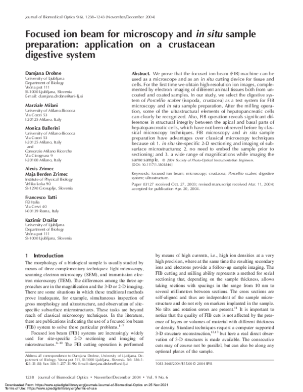 (PDF) Focused ion beam for microscopy and in situ sample preparation ...