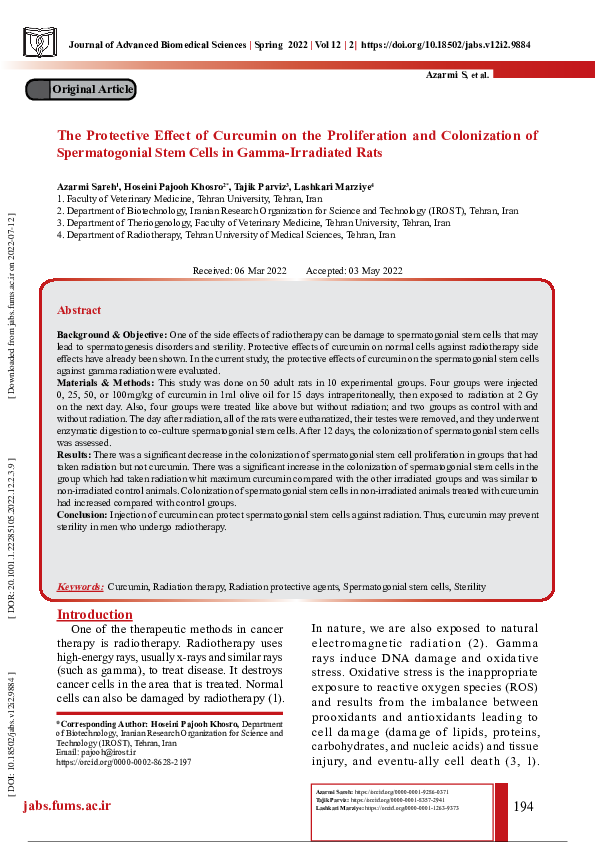 (PDF) The Protective Effect of Curcumin on the Proliferation and ...