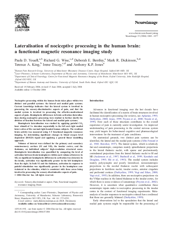 (PDF) Lateralisation of nociceptive processing in the human brain: a ...