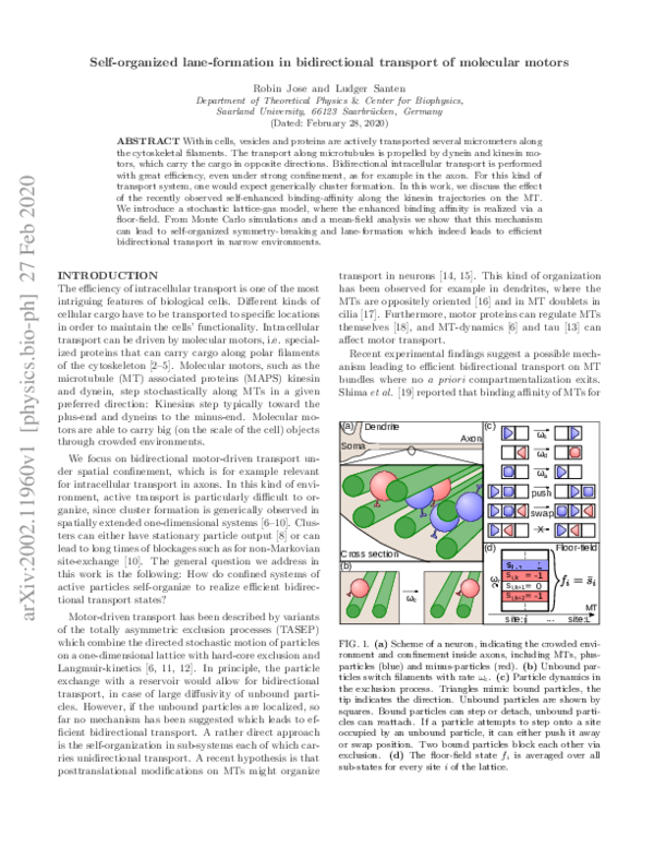 (PDF) Self-Organized Lane Formation in Bidirectional Transport by ...
