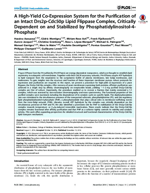 (PDF) A High-Yield Co-Expression System for the Purification of an ...