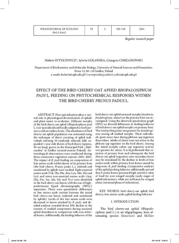 (PDF) Effect of the bird cherry-oat aphid Rhopalosiphum padi L. feeding ...
