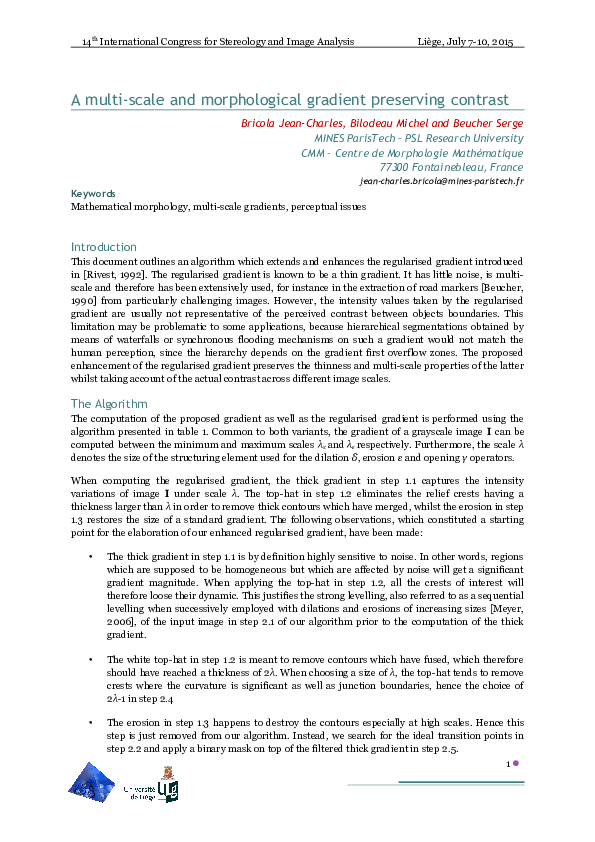 (PDF) A multi-scale and morphological gradient preserving contrast