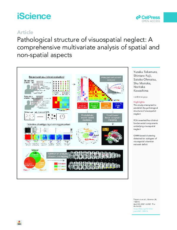 (PDF) Pathological structure of visuospatial neglect: A comprehensive ...