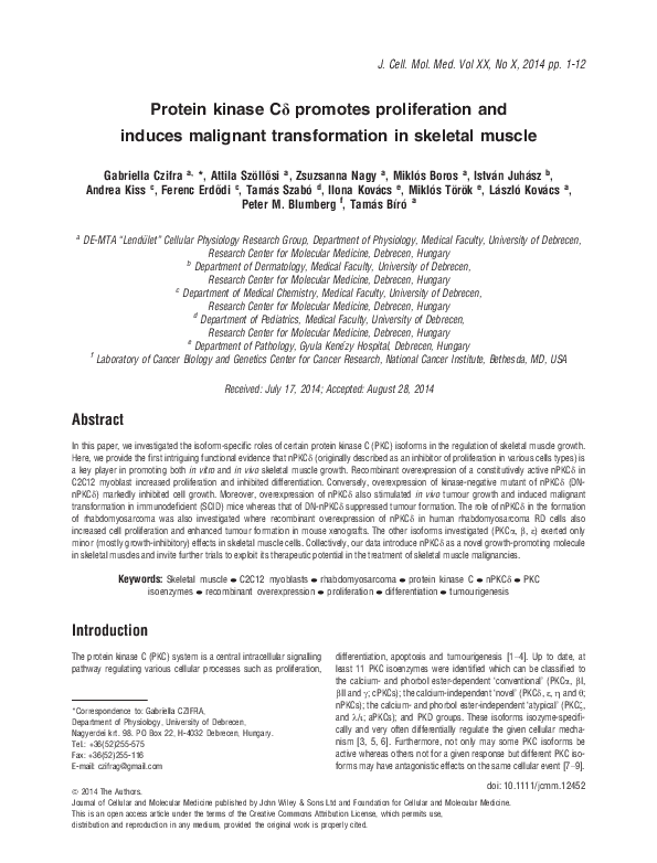 (PDF) Protein kinase Cδ promotes proliferation and induces malignant ...