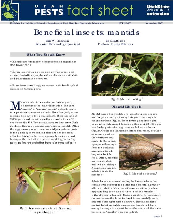 (PDF) Beneficial Insects: Mantids