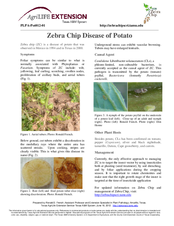 (PDF) Zebra Chip Disease of Potato