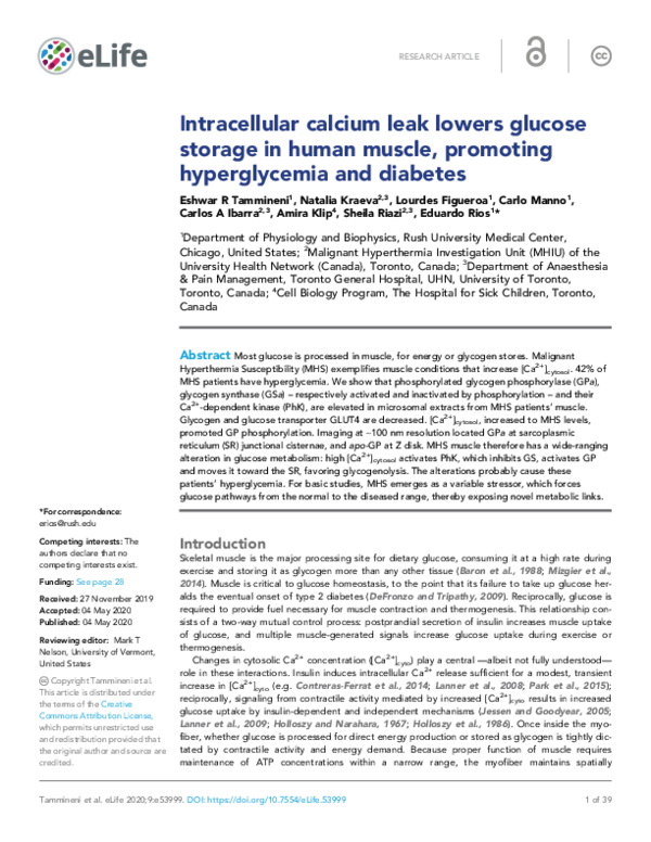 (PDF) Intracellular calcium leak lowers glucose storage in human muscle ...