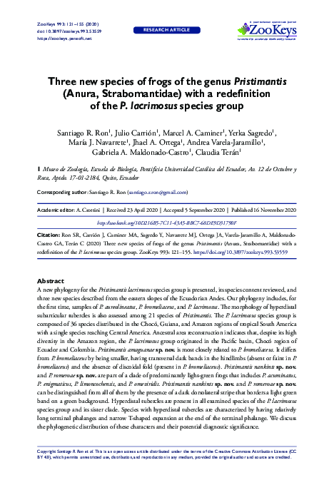 (PDF) Three new species of frogs of the genus Pristimantis (Anura ...