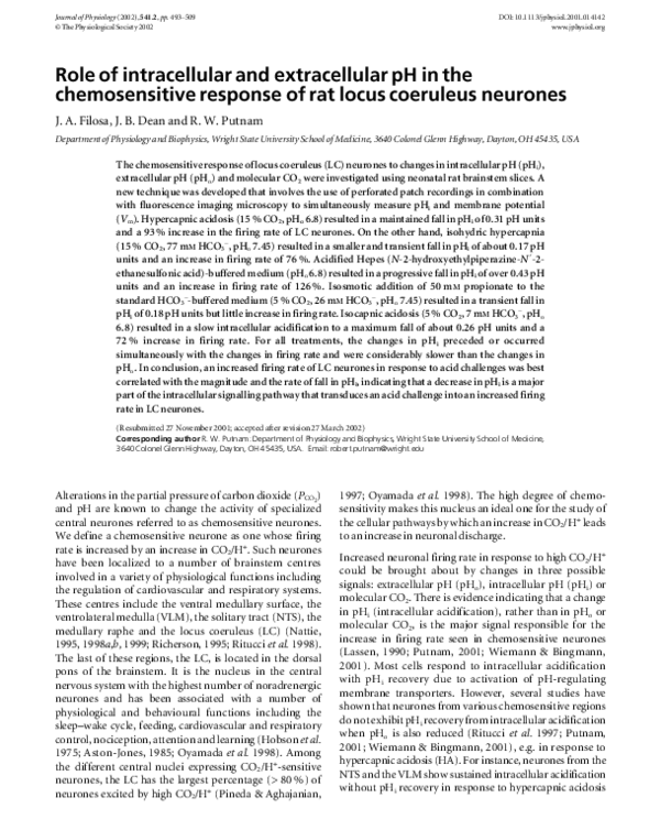 (PDF) Role of intracellular and extracellular pH in the chemosensitive ...