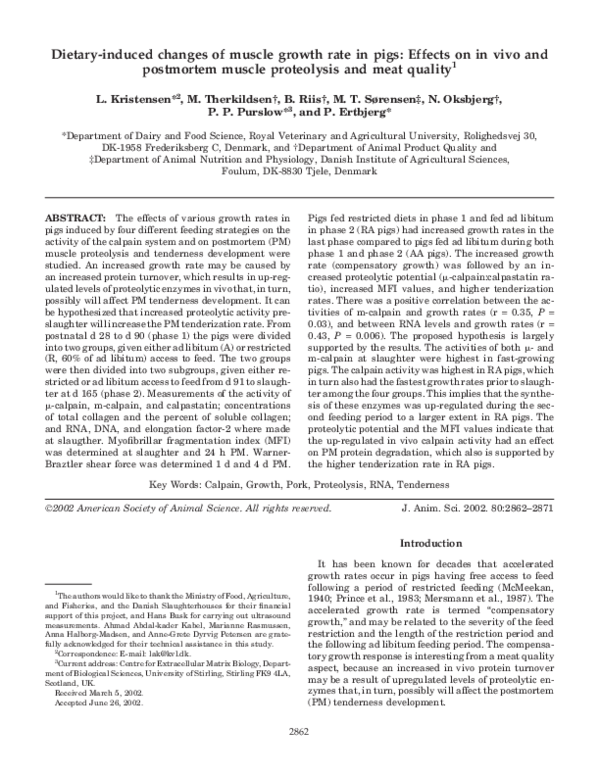 (PDF) Dietary-induced changes of muscle growth rate in pigs: Effects on ...