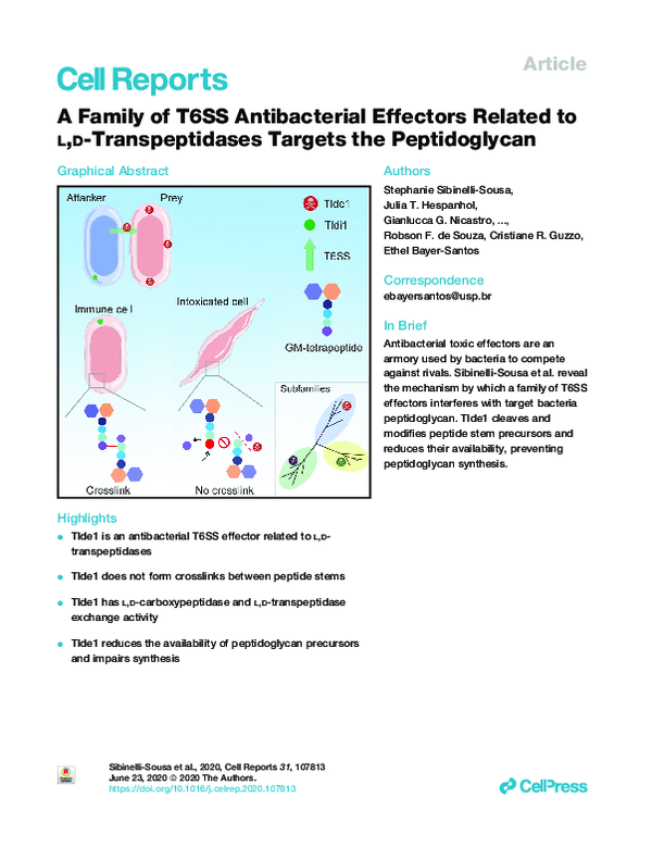 (PDF) A Family of T6SS Antibacterial Effectors Related to l,d ...