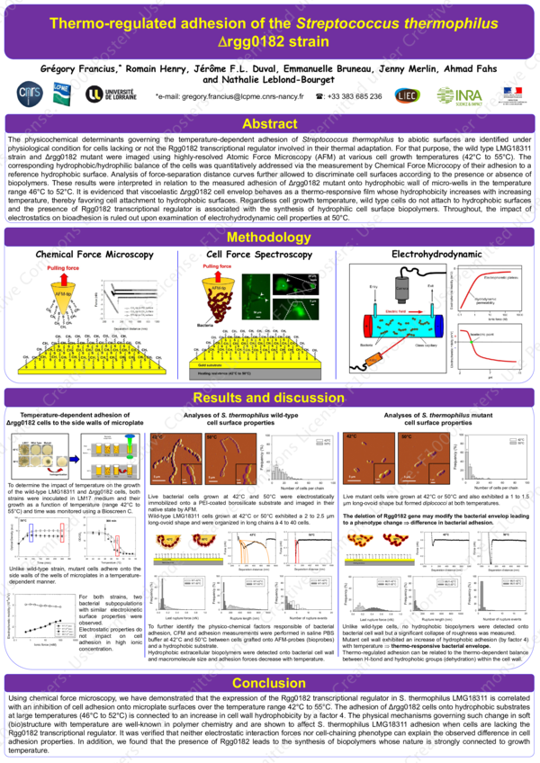 (PDF) Thermo-Regulated Adhesion of the Streptococcus thermophilus ...
