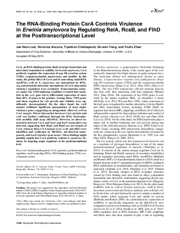 (PDF) The RNA-Binding Protein CsrA Controls Virulence in Erwinia ...