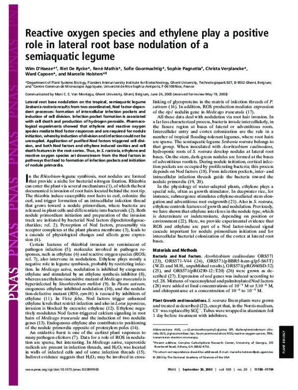 (PDF) Reactive oxygen species and ethylene play a positive role in ...