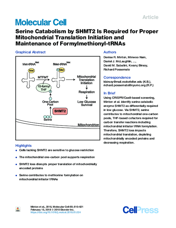 (PDF) Serine Catabolism by SHMT2 Is Required for Proper Mitochondrial ...