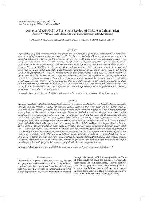 (PDF) Annexin A1 (ANXA1): A Systematic Review of Its Role in Inflammation