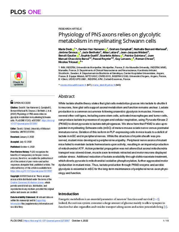 (PDF) Physiology of PNS axons relies on glycolytic metabolism in ...