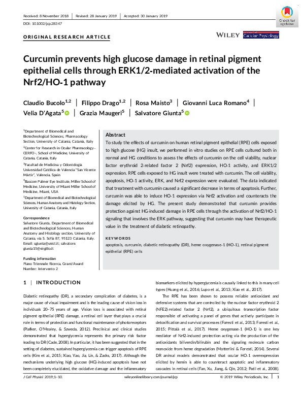 (PDF) Curcumin prevents high glucose damage in retinal pigment ...