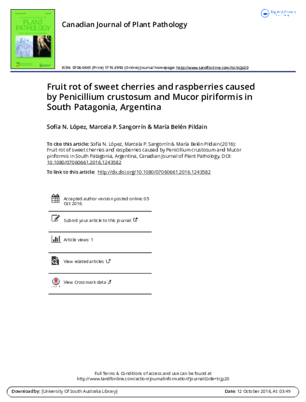 (PDF) Fruit rot of sweet cherries and raspberries caused by Penicillium ...