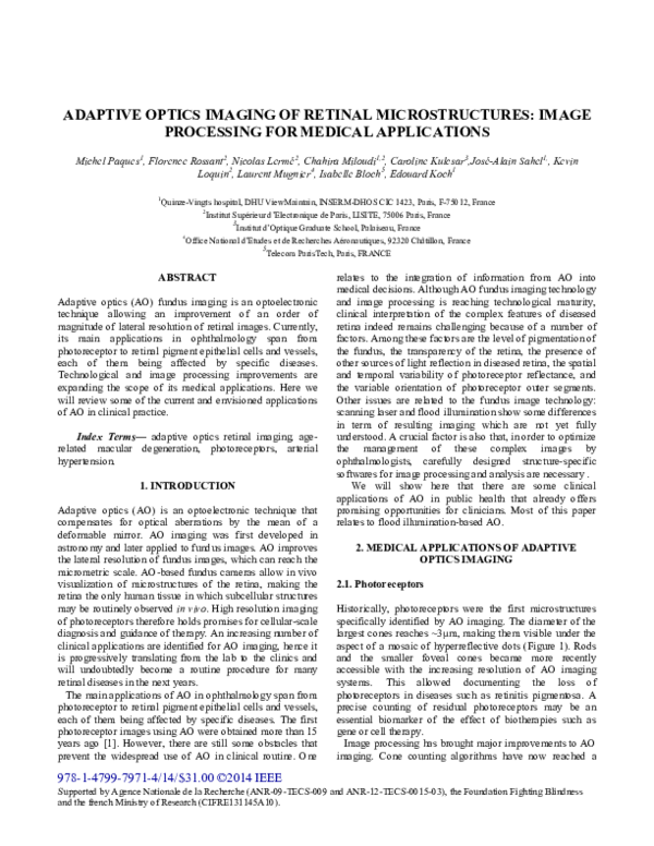 (PDF) Adaptive optics imaging of retinal microstructures: Image ...