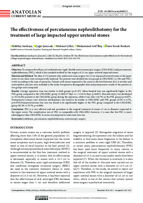 (PDF) The effectiveness of percutaneous nephrolithotomy for the ...