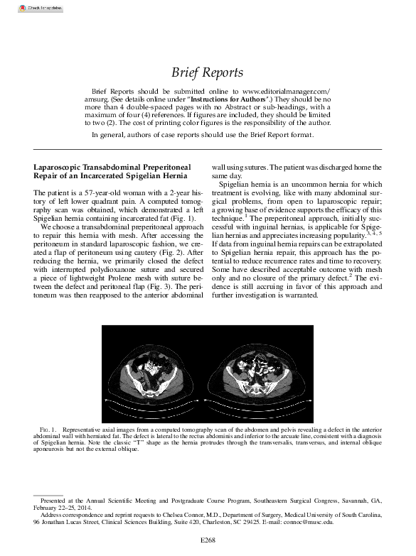 (PDF) Laparoscopic Transabdominal Preperitoneal Repair of Spigelian ...