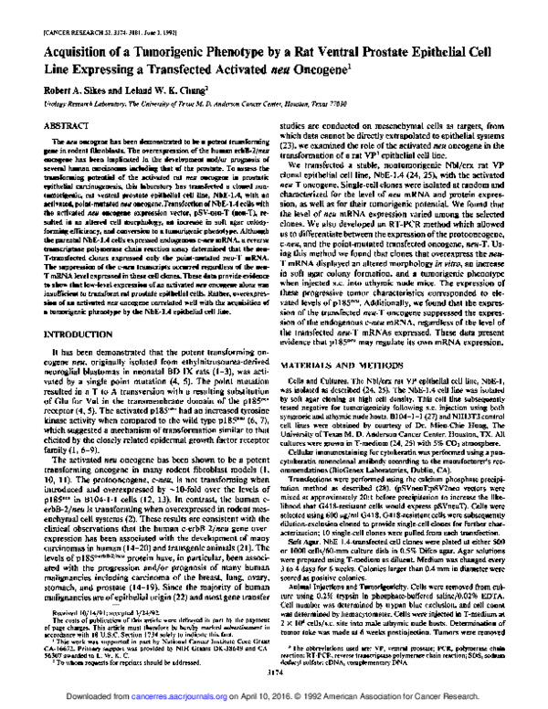 (PDF) Acquisition of a tumorigenic phenotype by a rat ventral prostate ...