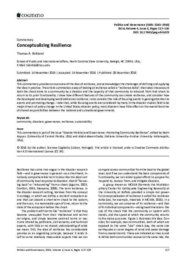 Pdf Conceptualizing Resilience