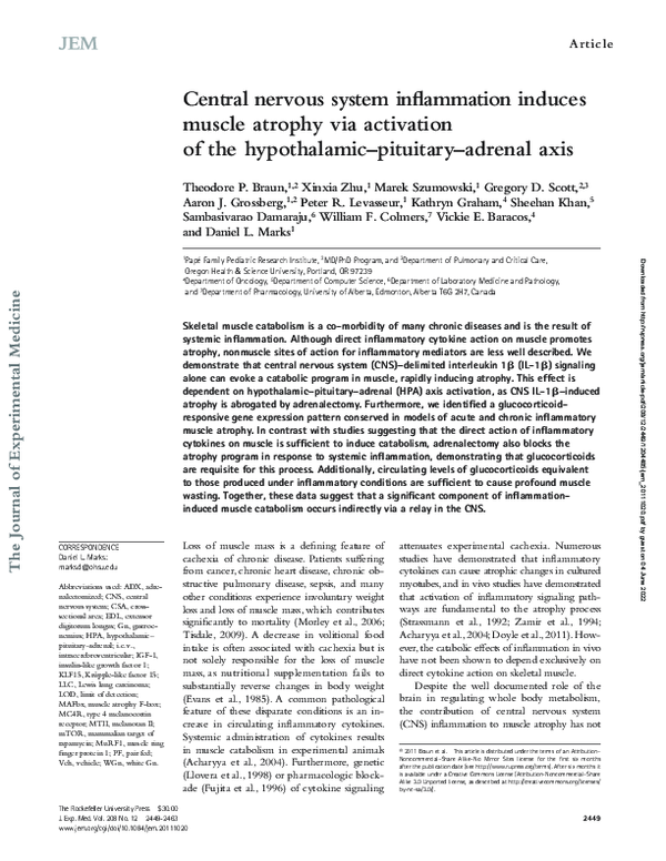 (PDF) Central nervous system inflammation induces muscle atrophy via ...