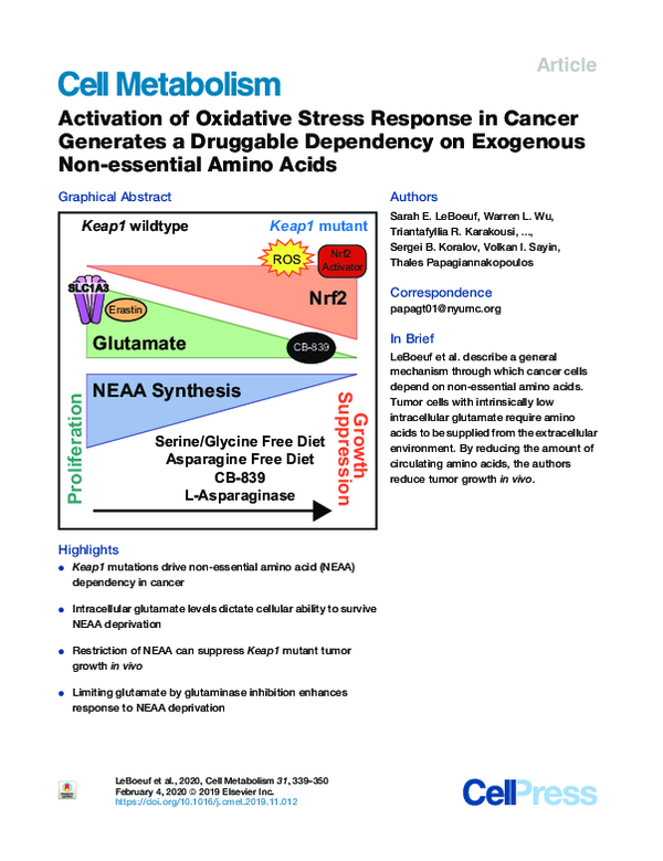 (PDF) Activation of Oxidative Stress Response in Cancer Generates a ...
