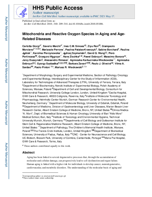 (PDF) Mitochondria and Reactive Oxygen Species in Aging and Age-Related ...