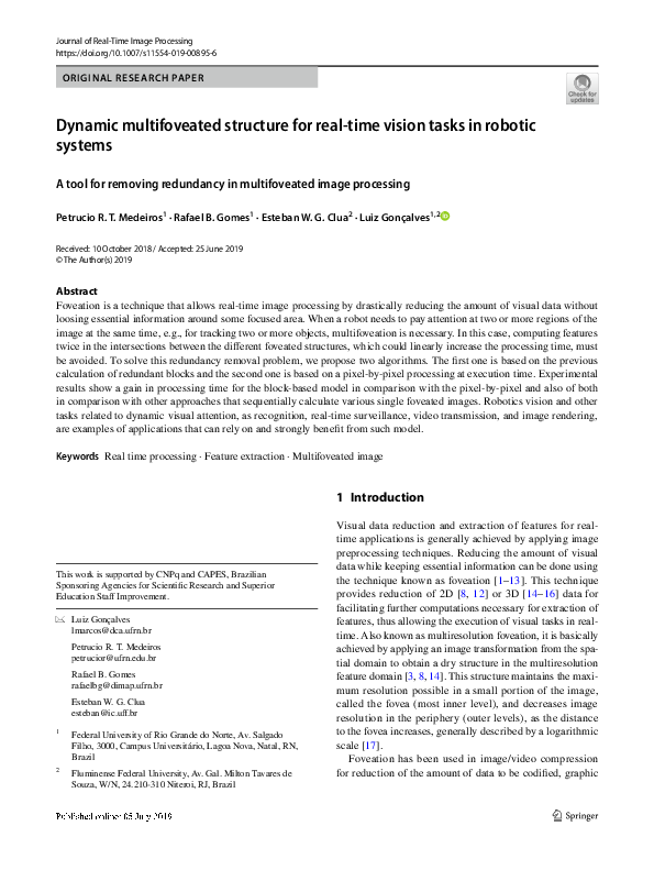 (PDF) Dynamic multifoveated structure for real-time vision tasks in ...