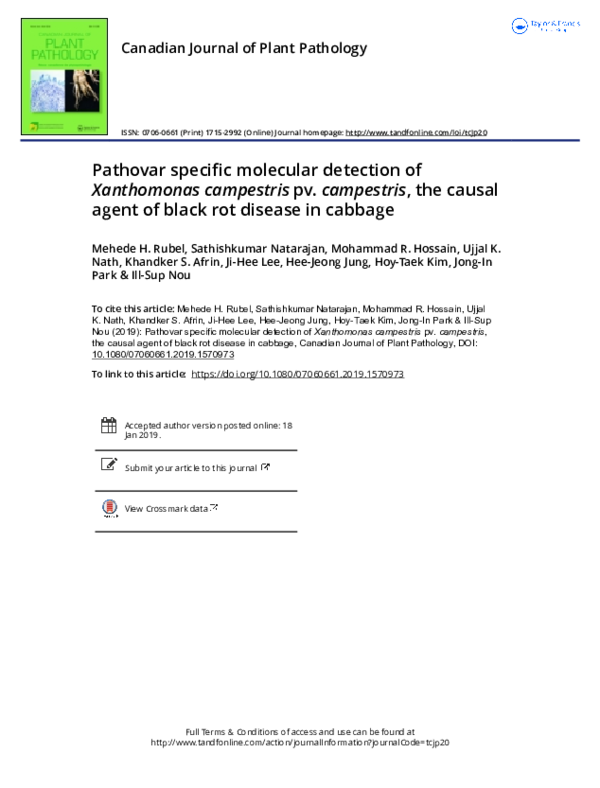 (PDF) Pathovar specific molecular detection of Xanthomonas campestris ...