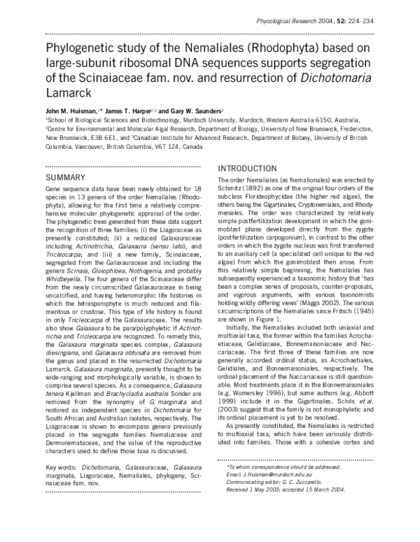 (PDF) Phylogenetic study of the Nemaliales (Rhodophyta) based on large ...