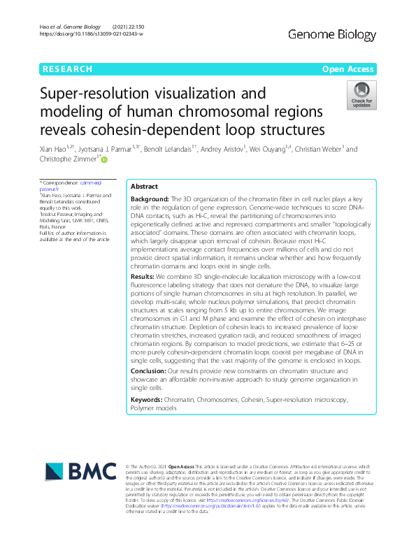(PDF) Super-resolution visualization and modeling of human chromosomal ...