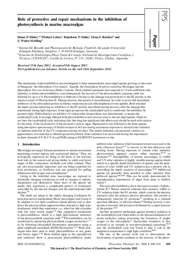 (PDF) Role of protective and repair mechanisms in the inhibition of ...