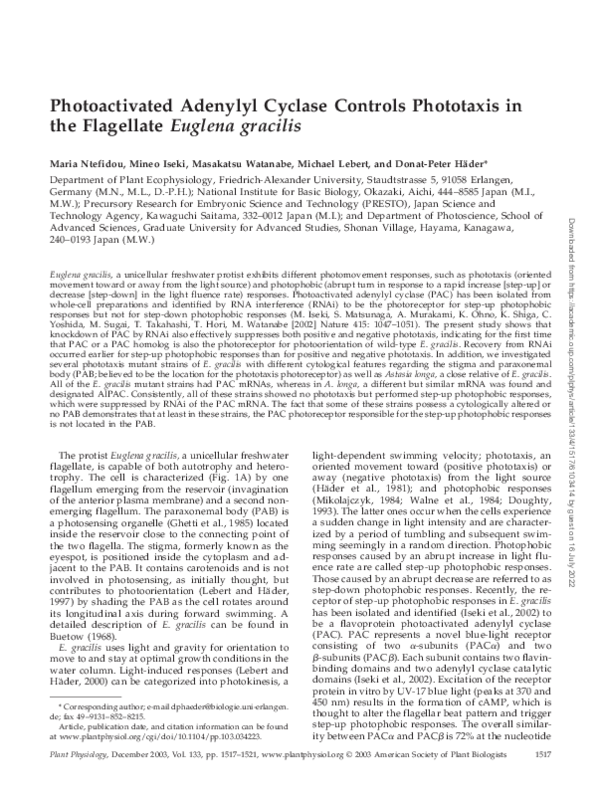 (PDF) Photoactivated Adenylyl Cyclase Controls Phototaxis in the ...