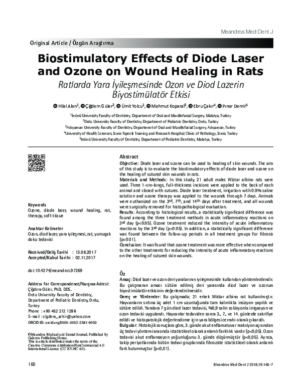 (PDF) Biostimulatory Effects of Diode Laser and Ozone on Wound Healing ...
