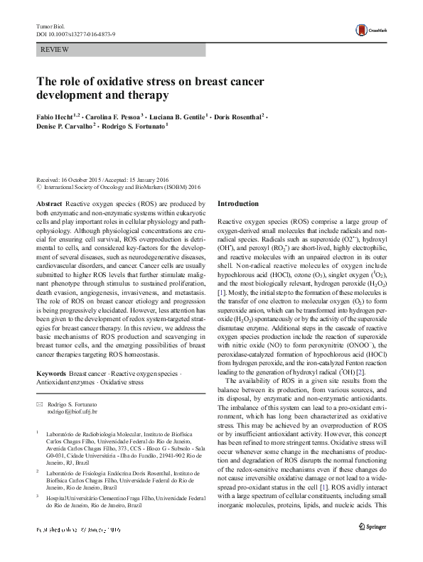 (PDF) The role of oxidative stress on breast cancer development and therapy
