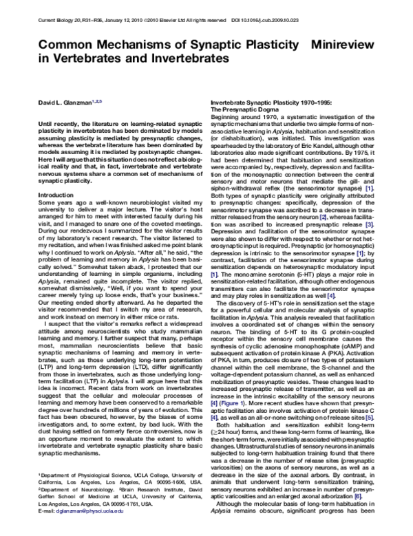 (PDF) Common Mechanisms of Synaptic Plasticity in Vertebrates and ...