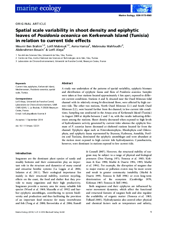 (PDF) Spatial scale variability in shoot density and epiphytic leaves ...