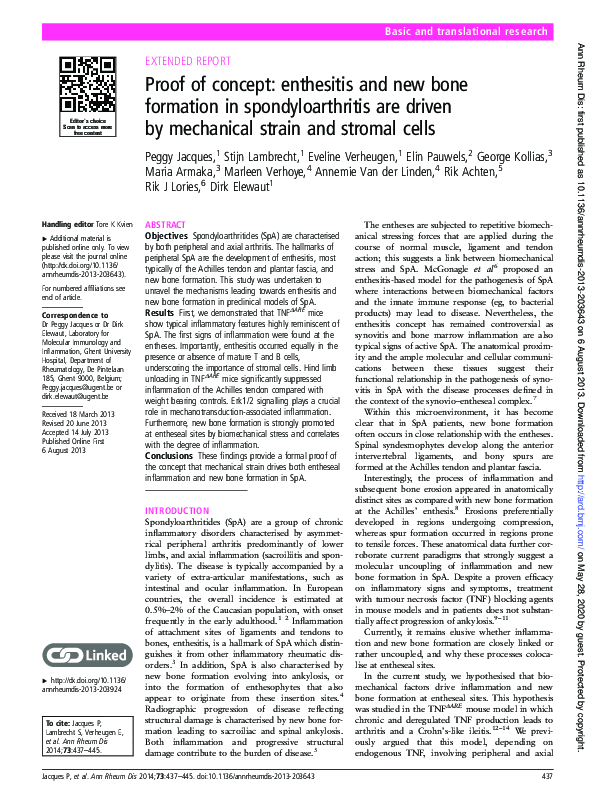 (PDF) Proof of concept: enthesitis and new bone formation in ...