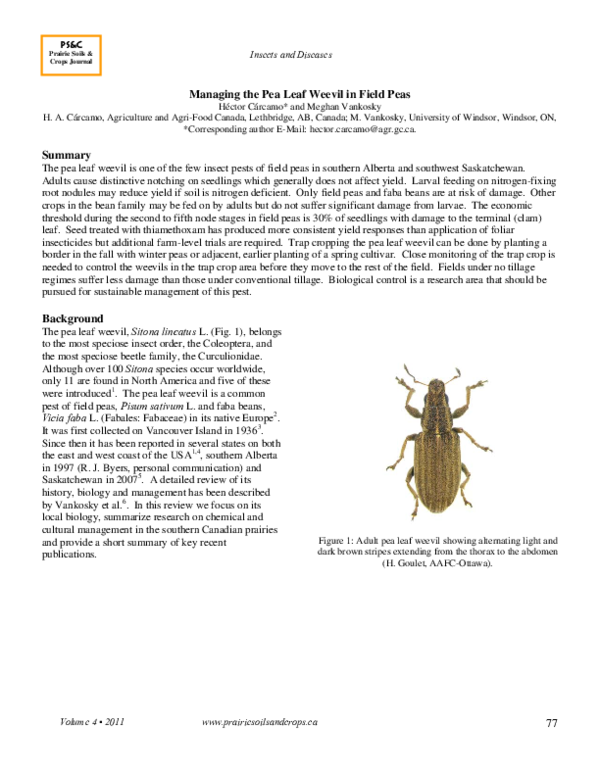 (PDF) Managing the Pea Leaf Weevil in Field Peas
