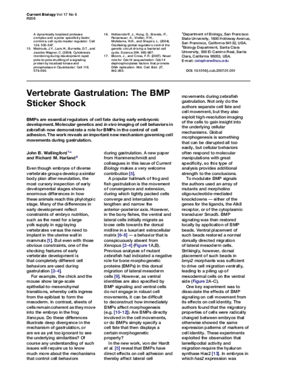 (PDF) Vertebrate Gastrulation: The BMP Sticker Shock