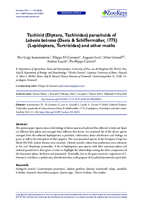 (PDF) Tachinid (Diptera, Tachinidae) parasitoids of Lobesia botrana ...