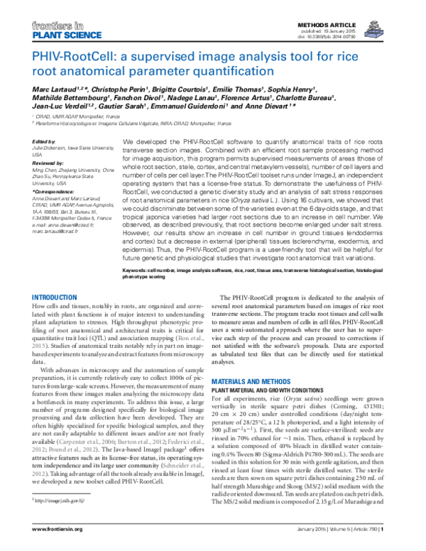  PDF PHIV RootCell A Supervised Image Analysis Tool For Rice Root 